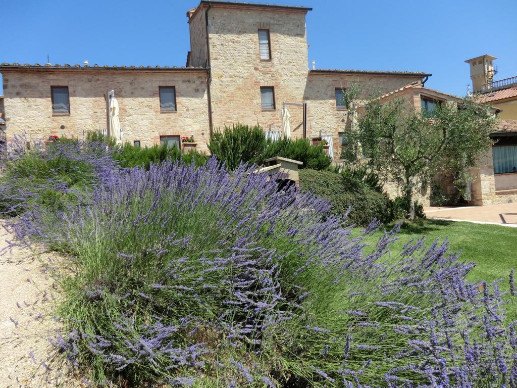La Pieve Di San Martino Guest House Colle Val D'Elsa Ngoại thất bức ảnh