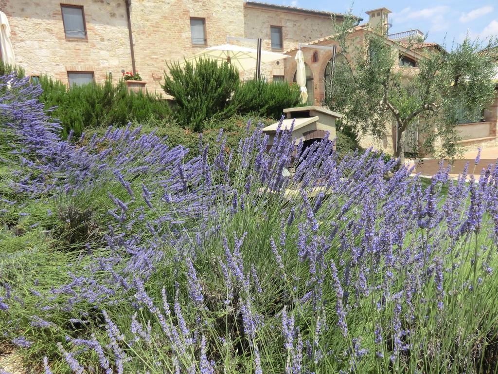 La Pieve Di San Martino Guest House Colle Val D'Elsa Ngoại thất bức ảnh